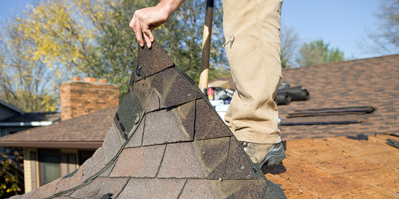 Why You Should Leave Roof Repair to the Pros