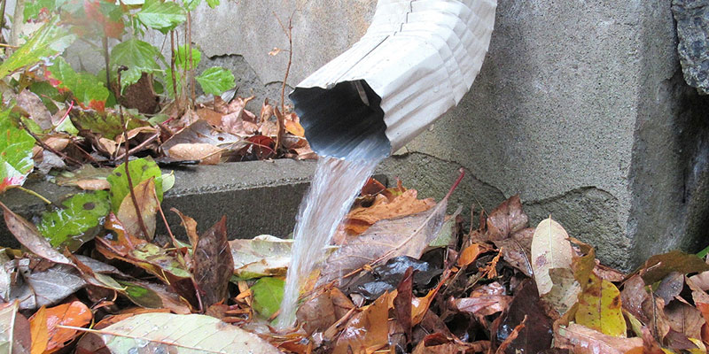How to Keep Your Rain Gutter in Tip-Top Shape