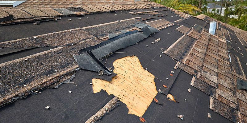 Why We Believe in the Importance of a Free Roofing Estimate